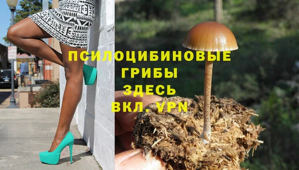 ешки Абаза