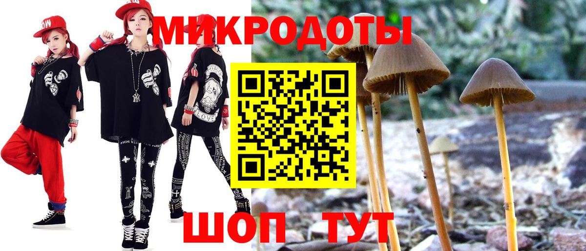 Псилоцибиновые грибы MAGIC MUSHROOMS  Псилоцибиновые грибы мухоморы  Зерноград  где можно купить наркотик  Вход с VPN 