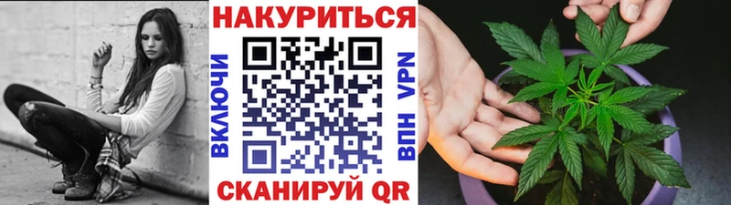 Шишки марихуана конопля Зерноград